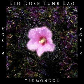 Big Dose Tune Bag, Vol. 4