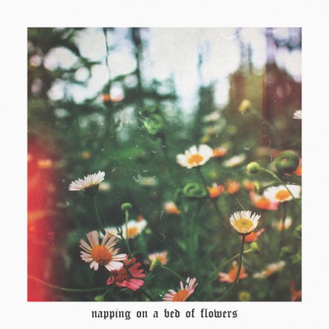 napping on a bed of flowers ft. fnonose | Boomplay Music