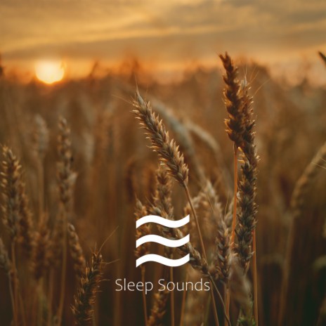 Soft Calming Noise for Relax and Rest