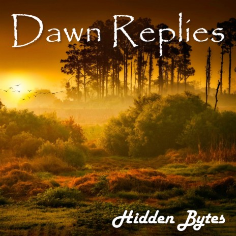 Dawn Replies | Boomplay Music