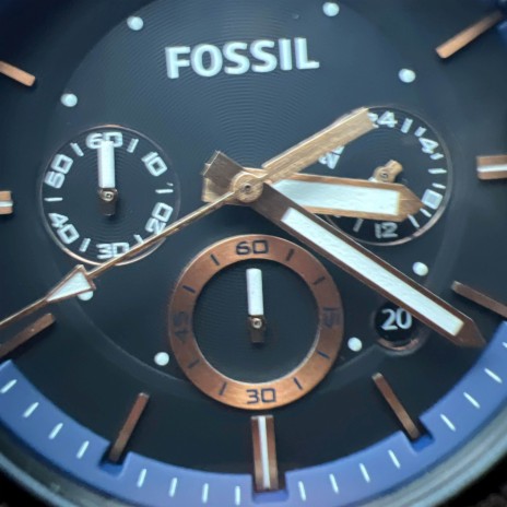 FOSSIL | Boomplay Music