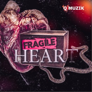 Fragile Heart lyrics | Boomplay Music