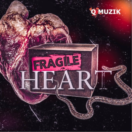 Fragile Heart | Boomplay Music