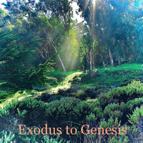 Exodus to Genesis