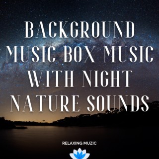 Background Music Box Music with Night Nature Sound