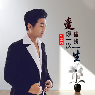 爱你一次痛我一生 lyrics | Boomplay Music