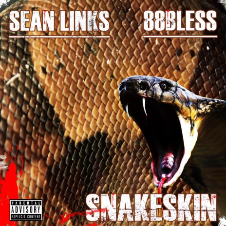 SNAKESKIN | Boomplay Music