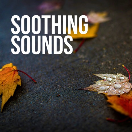 Soothing Sound (Elevation Mix)