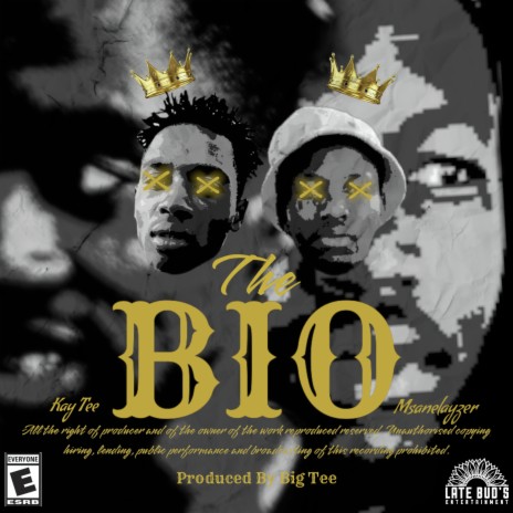 The Bio ft. Msanelayzer | Boomplay Music