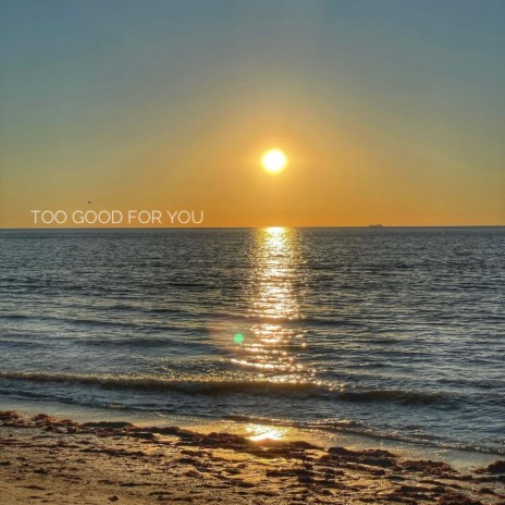 Too Good for You | Boomplay Music