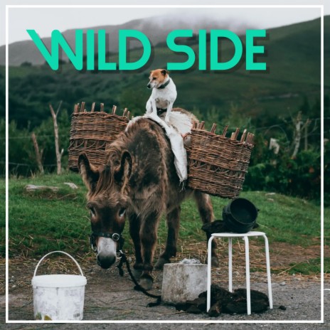 Wild Side | Boomplay Music