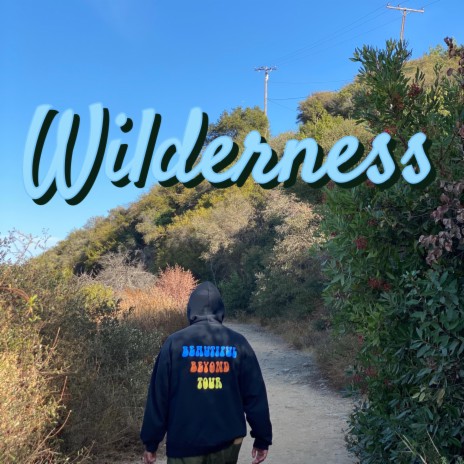 Wilderness | Boomplay Music