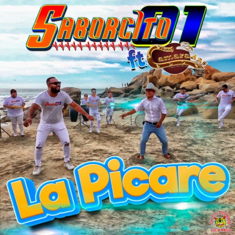 La Picare ft. Los Camaradas | Boomplay Music