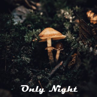 Only Night