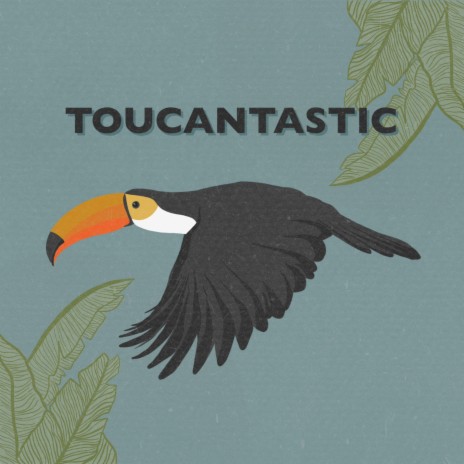 Toucantastic