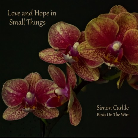 Love and Hope In Small Things | Boomplay Music
