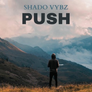 Shado Vybz