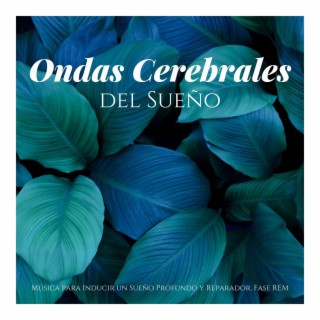 Ondas Cerebrales del Sueño: Música para Inducir un Sueño Profundo y Reparador, Fase REM