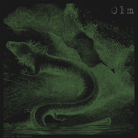 Olm | Boomplay Music