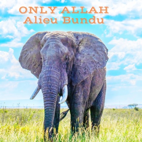 Only Allah | Boomplay Music