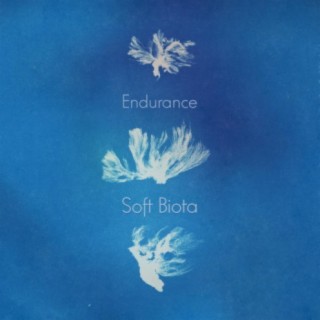 Soft Biota