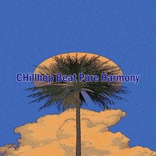 CHillhop Beat Pure Harmony