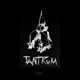 tantrum lyrics | Boomplay Music