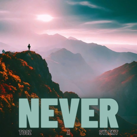 NEVER (Instrumental) ft. Sylent | Boomplay Music