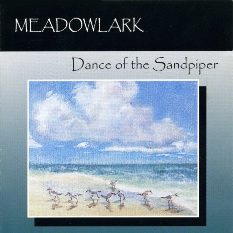 Dance of the Sandpiper | Boomplay Music