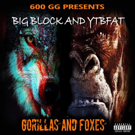 GORILLAS AND FOXES ft. YTB Fatt | Boomplay Music