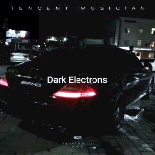 Dark Electrons