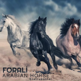 Arabian Horse (Enstrumantal)