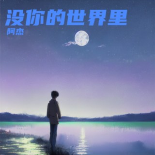 没你的世界里（吉他版） lyrics | Boomplay Music