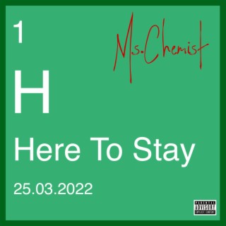 Here to Stay lyrics | Boomplay Music