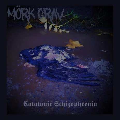 Catatonic Schizophrenia | Boomplay Music