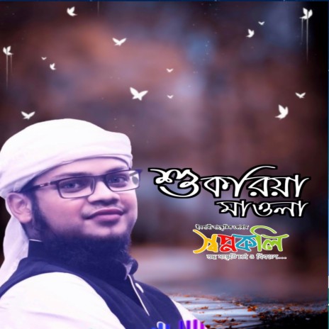 Shukria Mawla | Boomplay Music