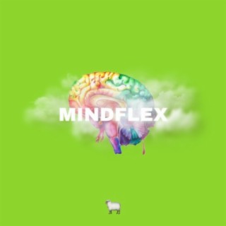 MindFlex