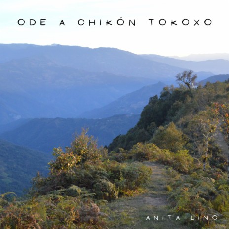 Ode a Chikón Tokoxo | Boomplay Music