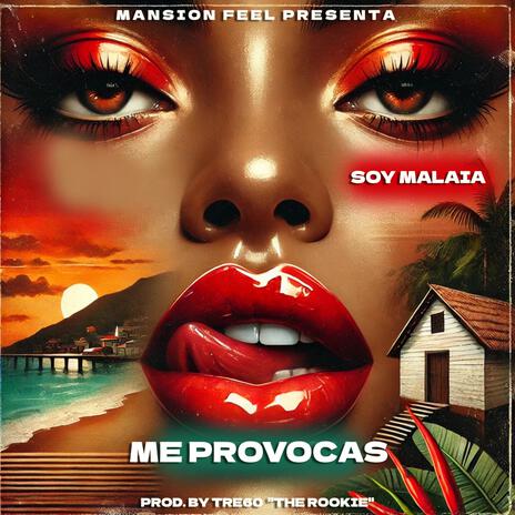 Me provocas (Version Afrobeat) ft. Mansión Feel | Boomplay Music