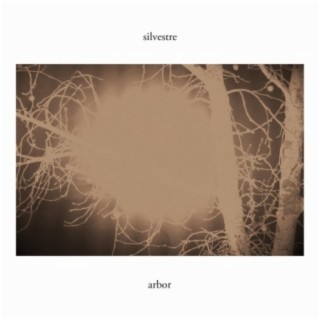 arbor