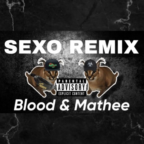 Sexo (Remix) ft. Mathee | Boomplay Music