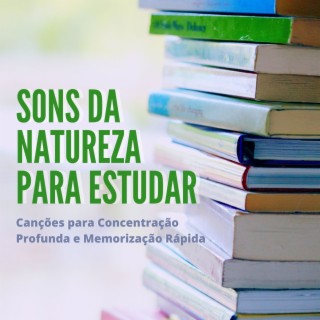 Sons da Natureza para Estudar: Canções para Concentração Profunda e Memorização Rápida