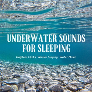 Underwater Sounds for Sleeping: Dolphins Clicks, Whales Singing, Water Music