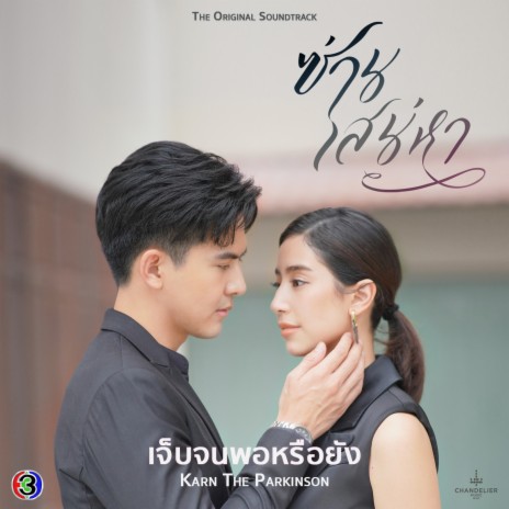 เจ็บจนพอหรือยัง (เพลงประกอบละครซ่านเสน่หา ช่อง 3) ft. Karn The Parkinson | Boomplay Music