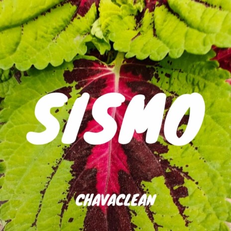 Sismo | Boomplay Music