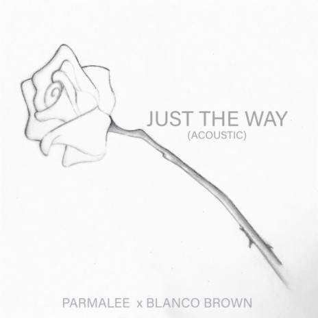 Just The Way (Acoustic) ft. Blanco Brown | Boomplay Music