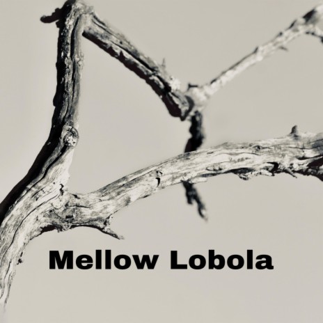 Mellow Lobola | Boomplay Music