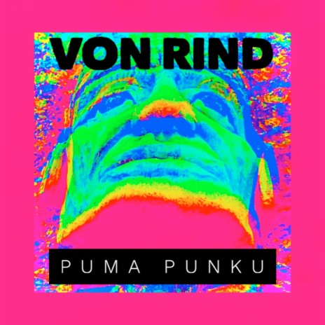 Puma Punku | Boomplay Music