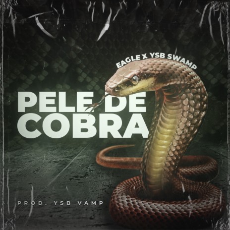 Pele de Cobra ft. YSB Swamp | Boomplay Music