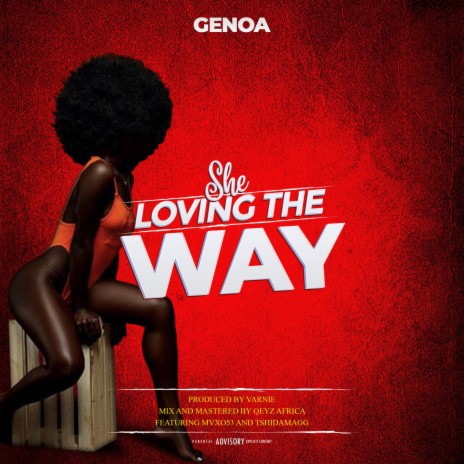 She Loving The Way (feat. Mvxo53 & TshiDaMagg) | Boomplay Music